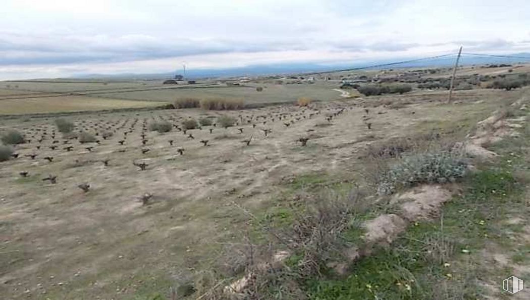 Suelo en venta en Pradera La Perdiguera, Navalcarnero, Madrid, 28600 con animal, nube, cielo, planta, tierras altas, paisaje natural, lote de tierra, hierba, pastizal y llanura alrededor