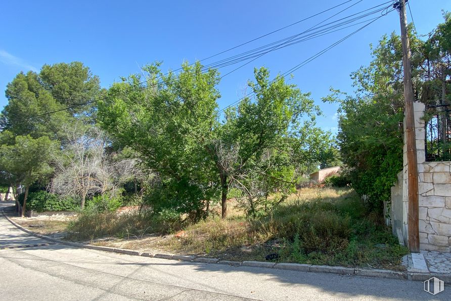 Suelo en venta en Calle Andrés Cabrera, 9, Chinchón, Madrid, 28370 con planta, cielo, comunidad de plantas, superficie de la carretera, terreno, vegetación, árbol, asfalto, hierba y sombra alrededor