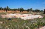 Land for sale at Calle Sierra de la Demanda, 57, Burguillos de Toledo, Toledo, 28810 with animal, sky, plant, natural landscape, land lot, tree, grass, landscape, grassland and meadow around