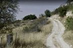 Land for sale at Zona Urbanización El Robledal, Villalbilla, Madrid, 28810 with plant, sky, natural landscape, tree, grass, landscape, shrub, slope, grassland and hill around