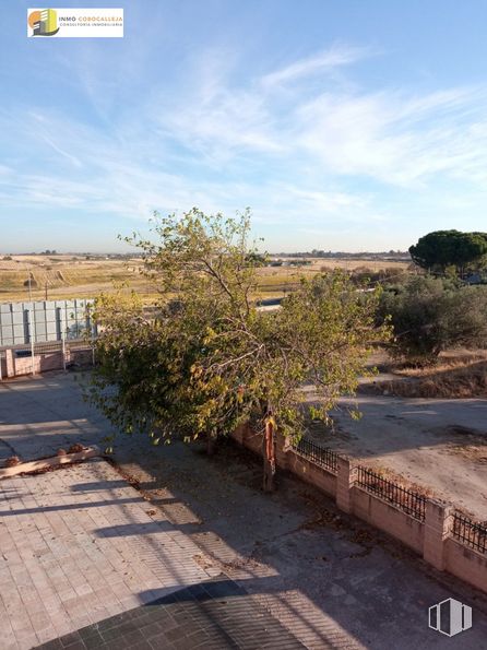 Retail for sale at Zona Serranillos del Valle, Serranillos del Valle, Madrid, 28979 with cloud, sky, plant, ecoregion, road surface, sunlight, shade, land lot, asphalt and landscape around