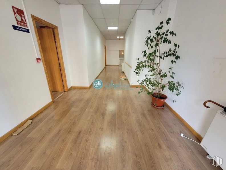 Retail for rent at Paseo Ezequiel González, Segovia, 40002 with houseplant, door, property, plant, building, wood, interior design, flooring, hall and floor around