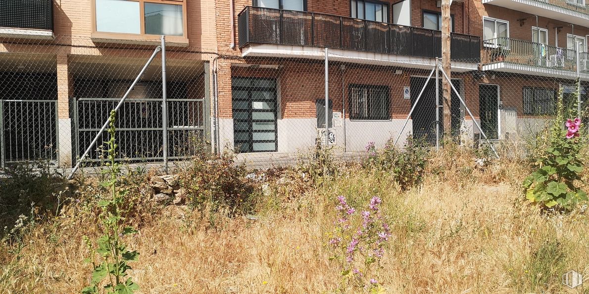 Suelo en venta en Calle Fuente Torrejona, 2, Barajas, Madrid, 28042 con ventana, edificio, flor, planta, propiedad, lote de terreno, madera, vegetación, casa y hierba alrededor