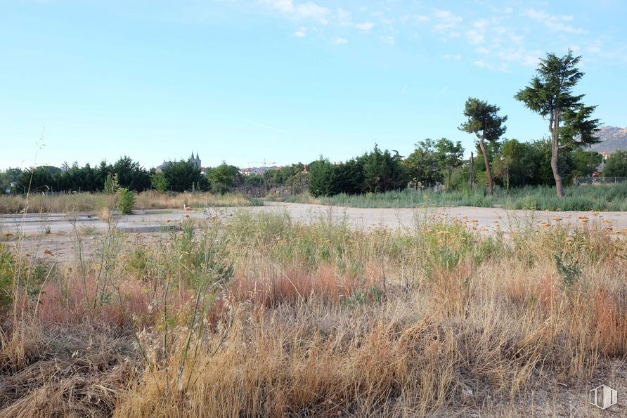 Suelo en venta en Calle de San Sebastián, s/n, El Escorial, Madrid, 28280 con cielo, planta, paisaje natural, nube, árbol, terreno, liso, pastizal, arbusto y paisaje alrededor