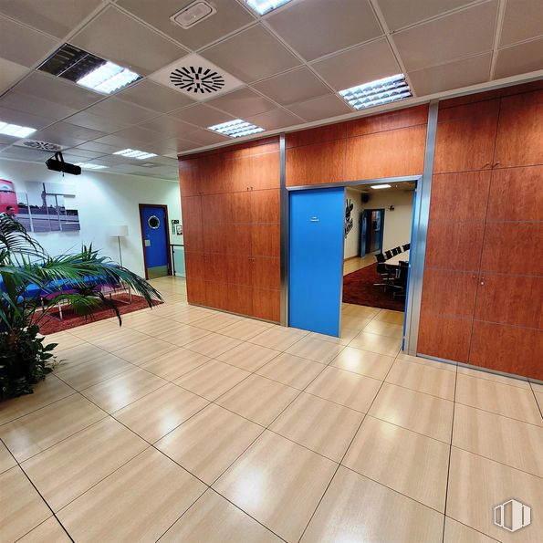 Office for sale & for rent at Calle María Tubau, Fuencarral - El Pardo, Madrid, 28050 with light fixture, plant, wood, interior design, door, hall, flooring, floor, wall and hardwood around