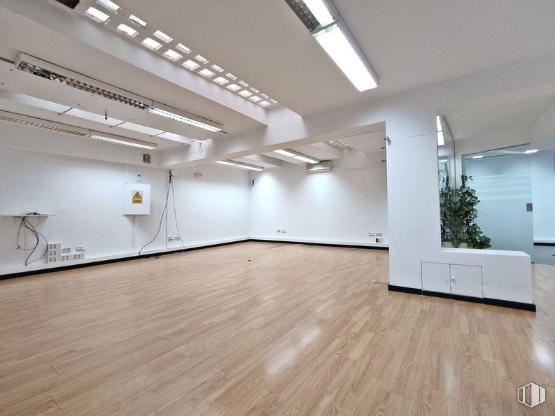 Office for rent at Avenida Comandante Franco, Chamartín, Madrid, 28016 with houseplant, wood, interior design, hall, plant, flooring, fixture, laminate flooring, hardwood and ceiling around