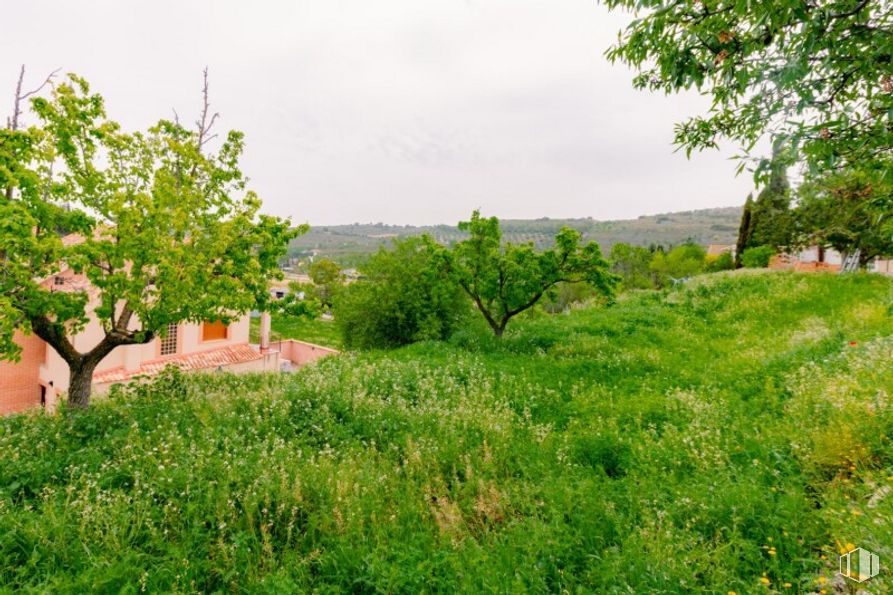 Land for sale at Calle San Roque, Valverde de Alcalá, Madrid, 28812 with house, plant, plant community, sky, ecoregion, natural landscape, tree, land lot, cloud and grass around