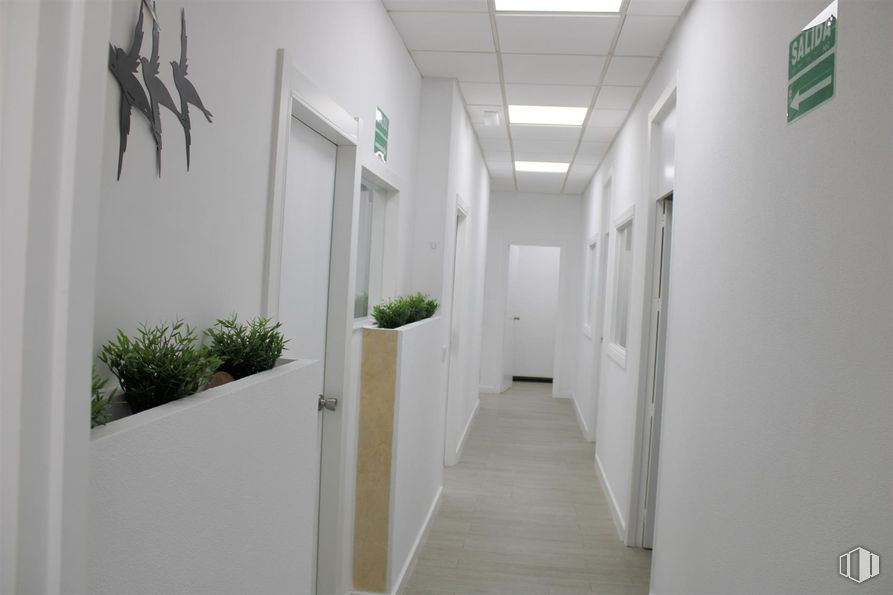 Oficina en alquiler en Calle María Tubau, Fuencarral - El Pardo, Madrid, 28050 con puerta, planta, accesorio, interiorismo, planta de interior, madera, suelos, suelo, marco y techo alrededor