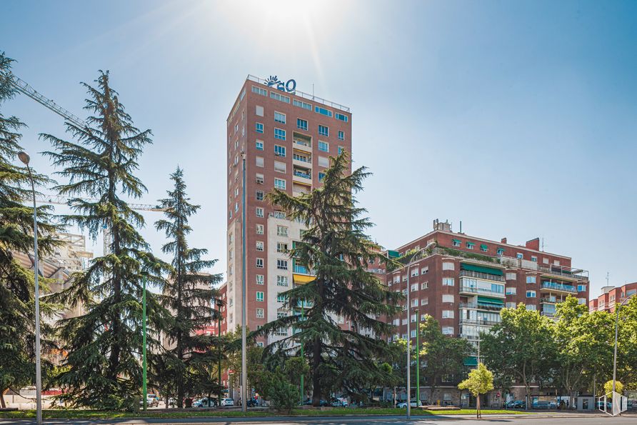 Oficina en alquiler en Edificio Lima, Paseo Castellana, 140, Chamartín, Madrid, 28046 con edificio, cielo, planta, día, propiedad, ventana, árbol, bloque de torre, alumbrado y condominio alrededor