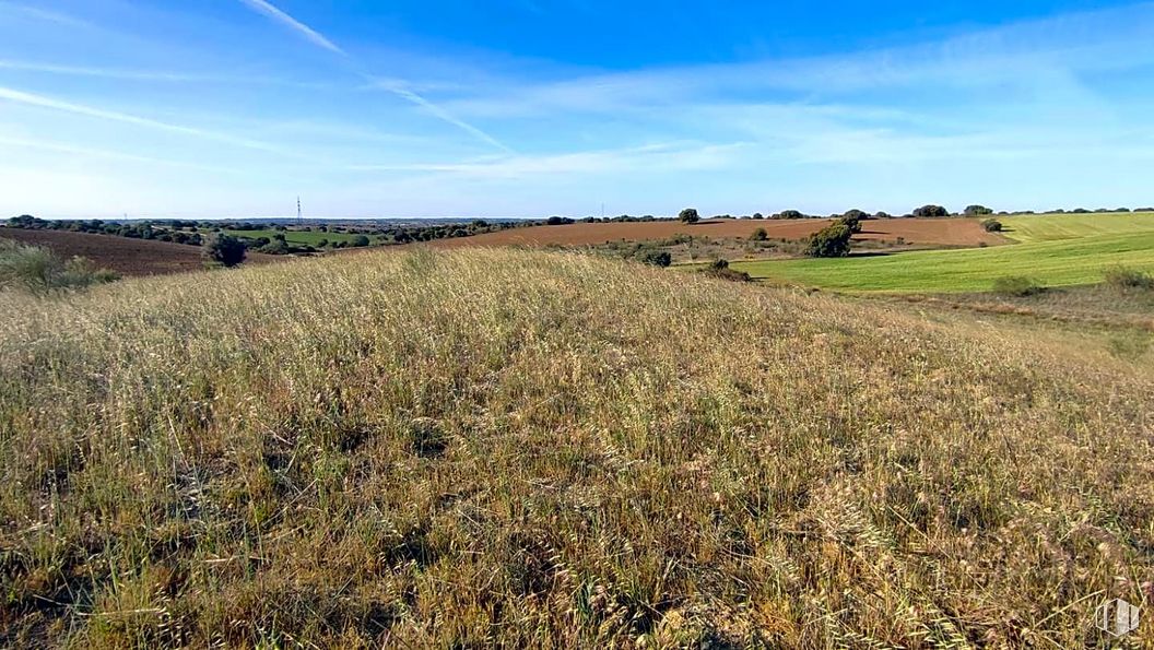 Suelo en venta en Zona La Cortanilla, Villamantilla, Madrid, 28610 con nube, cielo, paisaje natural, planta, agricultura, hierba, árbol, pradera, prado y horizonte alrededor