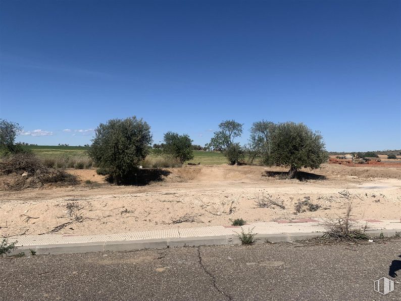 Suelo en venta en Avenida Aristóteles, s/n, Cobisa, Toledo, 45111 con planta, cielo, comunidad vegetal, paisaje natural, árbol, lote de terreno, llano, paisaje, hierba y tintes y matices alrededor