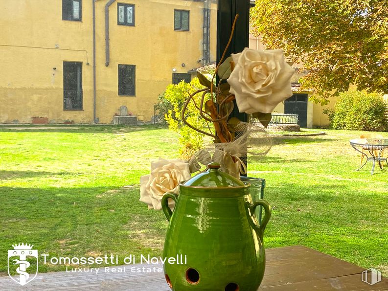 Retail for sale at Zona Centro, San Ildefonso, Segovia, 40100 with vase, flower, plant, window, green, flowerpot, table, grass, building and tree around