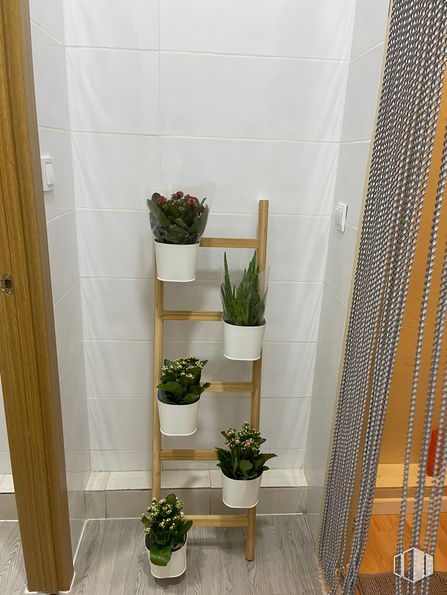 Retail for sale at Calle Pilarica, Usera, Madrid, 28026 with flowerpot, houseplant, plant, interior design, terrestrial plant, floor, wood, flooring, hardwood and room around