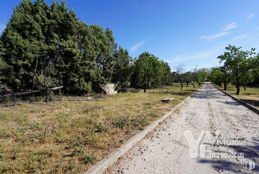 Suelo en venta en Zona polígono industrial Arboledas, Illescas, Toledo, 45200 con cielo, planta, ecorregión, nube, paisaje natural, superficie de la carretera, asfalto, lote de terreno, árbol y hierba alrededor