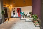 Office for rent at Barrio Pacífico, Retiro, Madrid, 28007 with bicycle, tire, wheel, houseplant, bicycle wheel, plant, property, building, flowerpot and interior design around