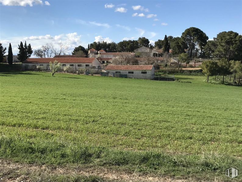 Land for sale at Finca Valdeapa, Chiloeches, Guadalajara, 19160 with building, cloud, sky, plant, tree, natural landscape, agriculture, landscape, plain and grassland around