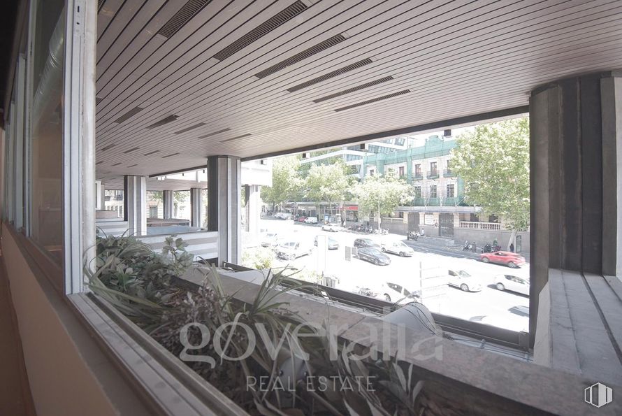 Office for rent at Calle Marqués de la Ensenada, Centro, Madrid, 28004 with building, window, house, wheel, plant, shade, ceiling, houseplant, glass and vehicle around