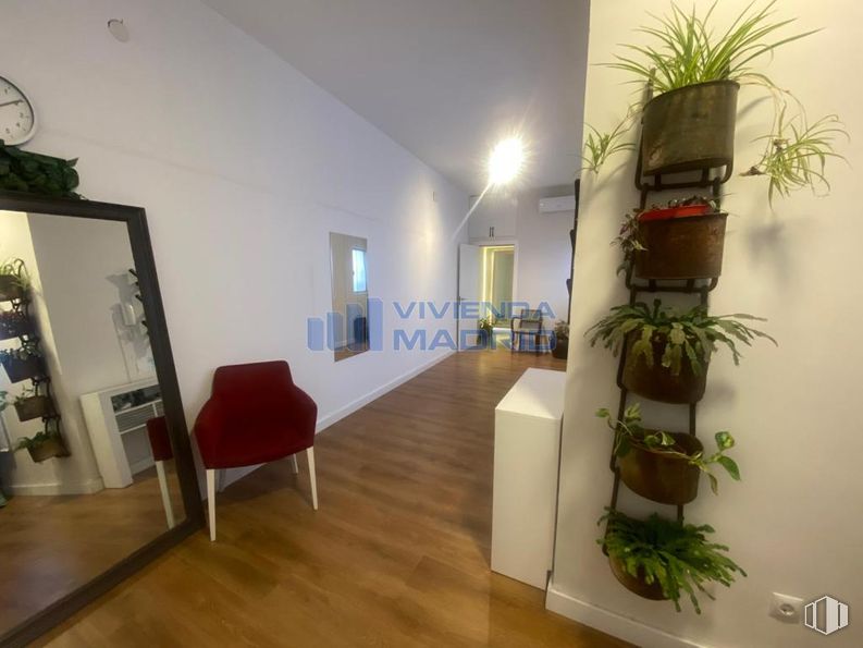 Local en venta en Calle José Garrido, 9, Carabanchel, Madrid, 28019 con silla, espejo, planta de interior, suelos, suelo, interiorismo, suelos de madera, techo, mueble y habitación alrededor