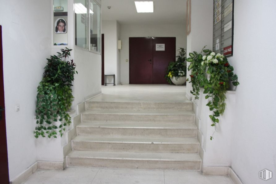 Nave en alquiler en Calle Haya, 15, Carabanchel, Madrid, 28044 con puerta, planta de interior, planta, edificio, flor, accesorio, escaleras, suelo, casa y suelos alrededor