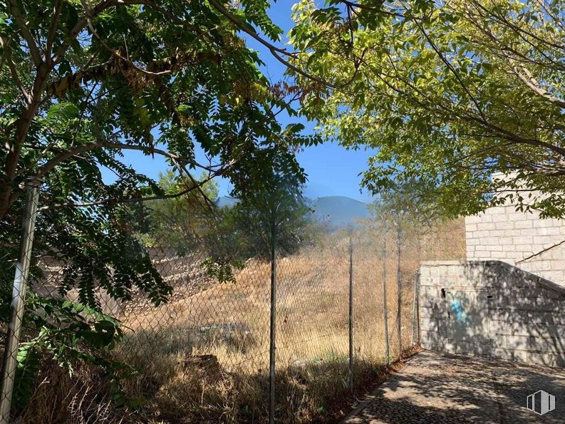 Land for sale at Calle A Canella Peiro, Villalbilla, Madrid, 28810 with plant, plant community, branch, shade, sky, natural landscape, tree, twig, landscape and wood around