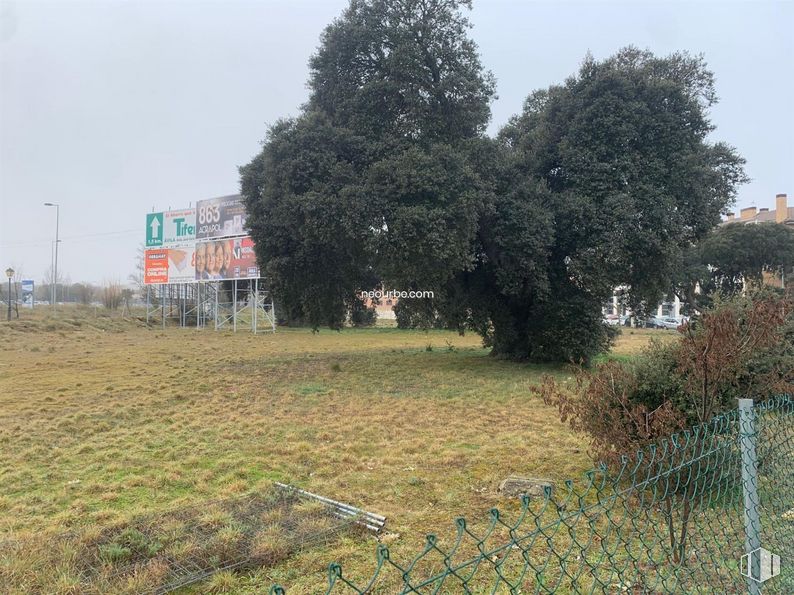 Land for sale at Calle de la Ciudad de Toledo, Ávila, 05004 with plant, sky, natural landscape, land lot, tree, grass, landscape, shrub, grass family and meadow around