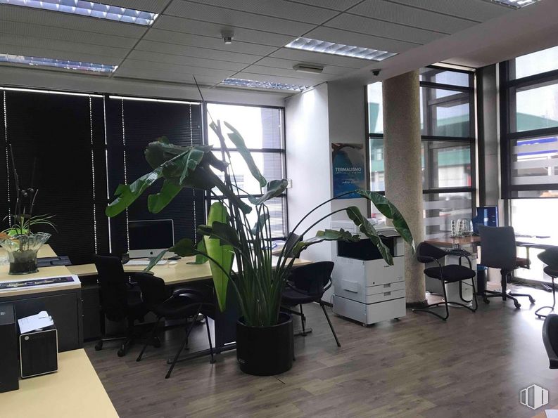 Oficina en venta en Zona empresarial, Alcobendas, Madrid, 28108 con silla, planta de interior, maceta, mueble, planta, edificio, accesorio, arquitectura, suelo y suelos alrededor