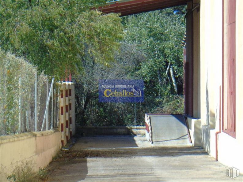 Industrial for sale at Calle Lepanto, Guadalajara, 19004 with plant, leaf, tree, shade, wood, road surface, leisure, landscape, road and facade around