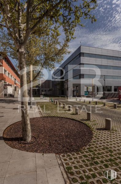 Office for sale at Rivas Centro, Plaza Constitución, 2, Rivas-Vaciamadrid, Madrid, 28529 with building, property, sky, tree, urban design, facade, real estate, window, road surface and city around