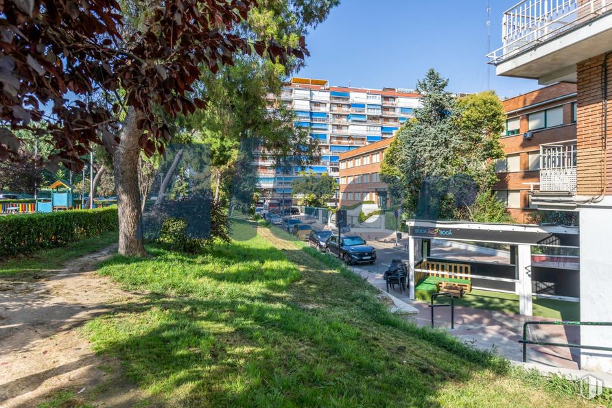 Local en venta en Calle Porto Lagos, Alcorcón, Madrid, 28924 con coche, planta, edificio, cielo, árbol, superficie de la carretera, diseño urbano, sombra, barrio y ocio alrededor