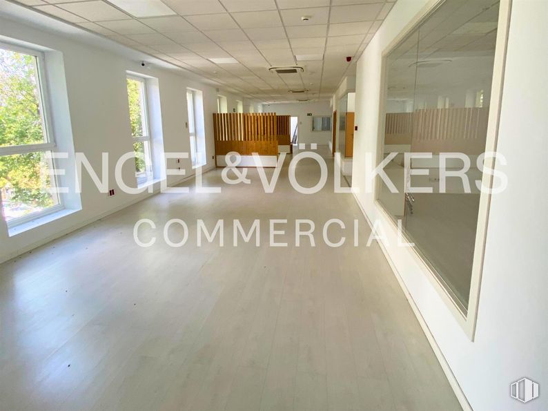 Oficina en alquiler en Calle Julián Camarillo, 38, San Blas - Canillejas, Madrid, 28037 con ventana, accesorio, madera, planta, hall, suelos, suelo, edificio, inmobiliario y material compuesto alrededor