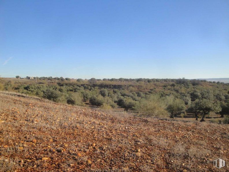 Suelo en venta en Camino Valdeserrano, Quer, Guadalajara, 19209 con cielo, paisaje natural, planta, árbol, hierba, paisaje, agricultura, pastizal, arbusto y carretera alrededor