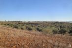 Land for sale at Camino Valdeserrano, Quer, Guadalajara, 19209 with sky, natural landscape, plant, tree, grass, landscape, agriculture, grassland, shrub and road around