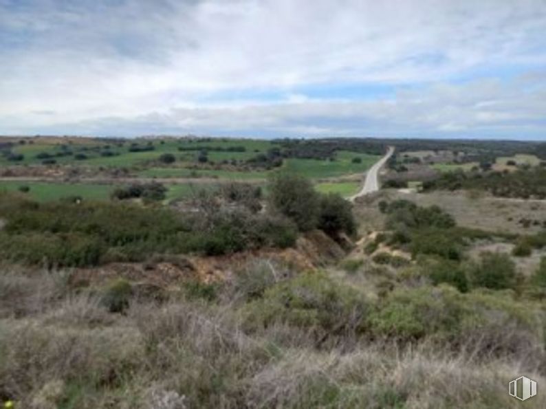 Suelo en venta en Urbanización Polígono 6, Fuentelahiguera de Albatages, Guadalajara, 19182 con nube, planta, cielo, paisaje natural, pradera, hierba, paisaje, árbol, horizonte y arbusto alrededor