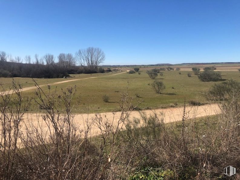 Land for sale at Carretera Guadalajara, 174, Torrejón del Rey, Guadalajara, 19174 with animal, sky, plant, natural landscape, tree, land lot, grass, grassland, landscape and plain around