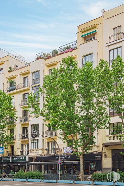 Retail for rent at Calle Princesa, 76, Chamberí, Madrid, 28008 with window, sky, building, plant, daytime, property, cloud, tree, urban design and vegetation around