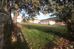 Land for sale at Calle Ángel, 3, Ambite, Madrid, 28580 with house, plant, sky, shade, natural landscape, tree, building, sunlight, grass and landscape around