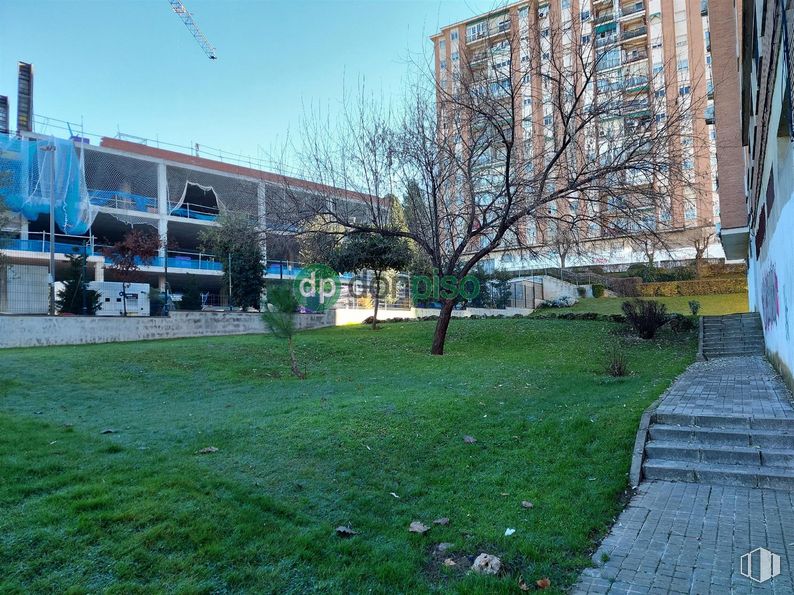 Retail for sale at Calle Constitución, Guadalajara, 19003 with building, plant, sky, window, infrastructure, branch, tree, urban design, grass and biome around