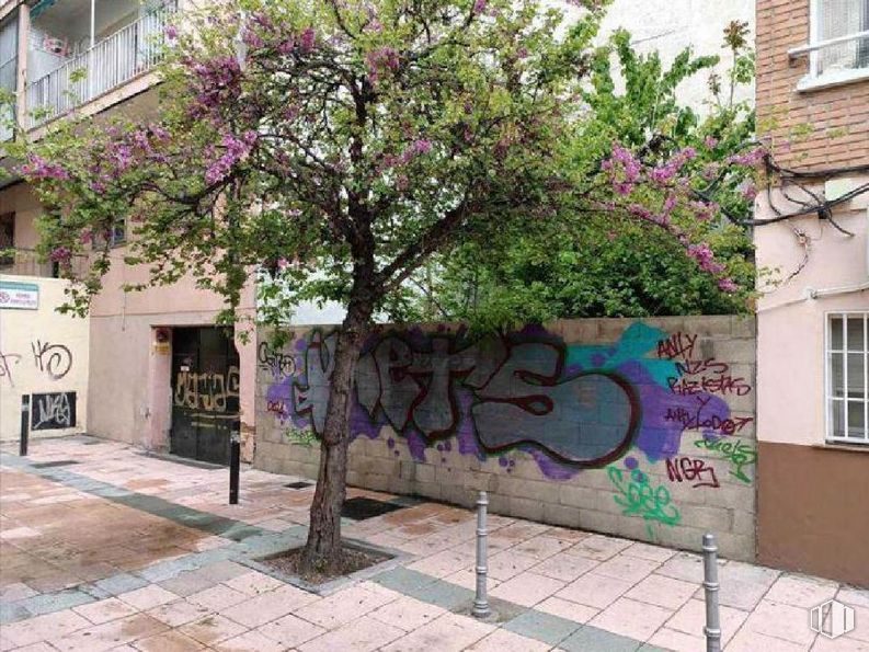 Suelo en venta en Calle Teruel, 3, Alcobendas, Madrid, 28100 con ventana, casa, edificio, planta, morado, verde, hoja, árbol, pintura y rama alrededor