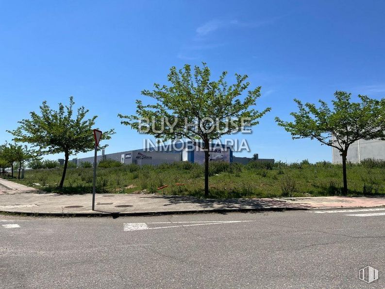 Land for sale at Zona Airbus, Illescas, Toledo, 45200 with building, sky, plant, plant community, ecoregion, tree, natural landscape, road surface, land lot and shade around