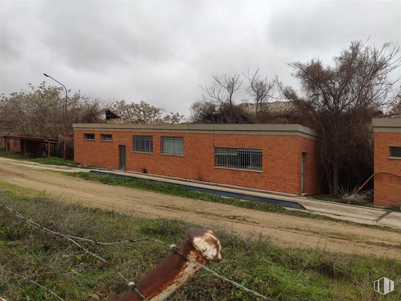 Land for sale at Zona Avenida IV Centenario, Quintanar de la Orden, Toledo, 45800 with window, house, cloud, plant, sky, building, dog, land lot, tree and grass around