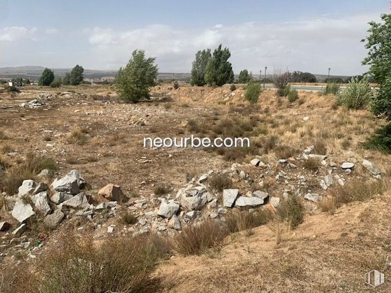 Land for sale at Calle Albacete, Ávila, 05004 with animal, sky, plant, plant community, cloud, tree, natural landscape, bedrock, land lot and grass around