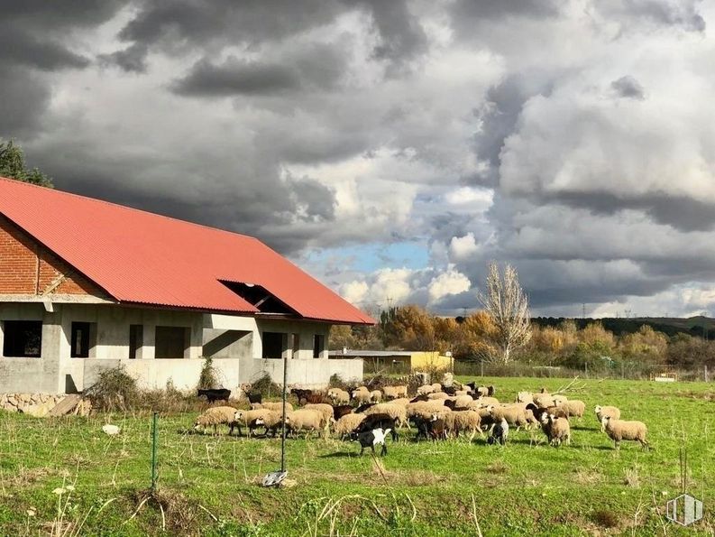 Nave en venta en Camino Viejo de Barajas, San Sebastián de los Reyes, Madrid, 28862 con casa, nube, cielo, planta, ecorregión, edificio, paisaje natural, lote de tierra, hierba y árbol alrededor