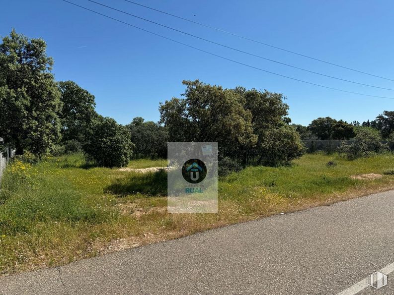 Land for sale at Calle Acacias, San Román de los Montes, Toledo, 45646 with sky, plant, tree, land lot, natural landscape, road surface, grass, shrub, plain and grassland around