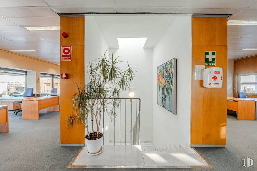 Oficina en alquiler en Calle Virgilio, 17, Pozuelo de Alarcón, Madrid, 28223 con planta de interior, maceta, mueble, interiorismo, suelos, suelo, techo, alumbrado, escritorio y habitación alrededor