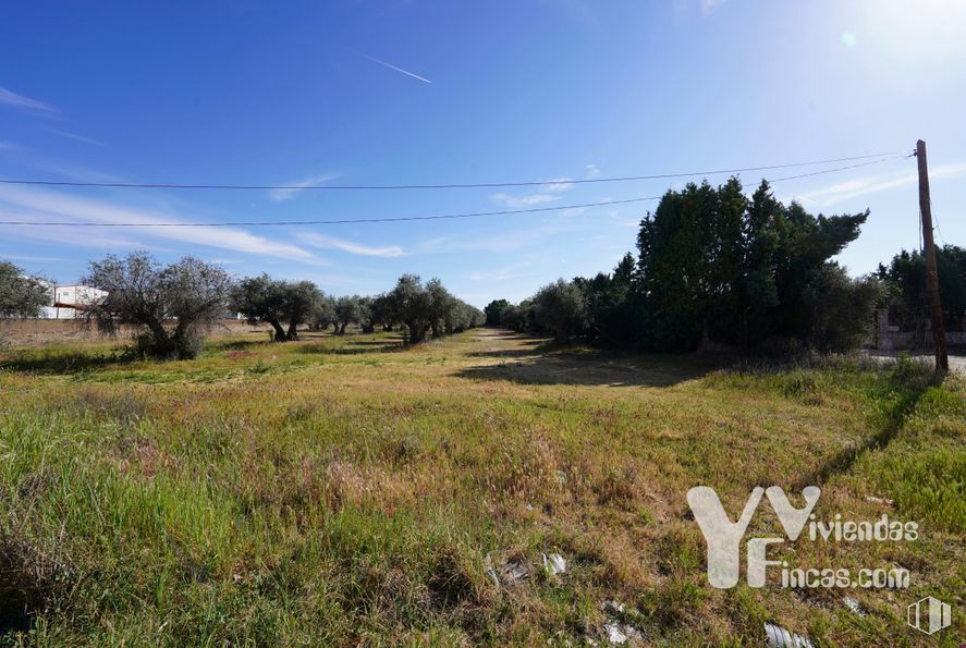 Suelo en venta en Zona polígono industrial Arboledas, Illescas, Toledo, 45200 con cielo, planta, nube, ecorregión, paisaje natural, árbol, lote de terreno, vegetación, hierba y llano alrededor