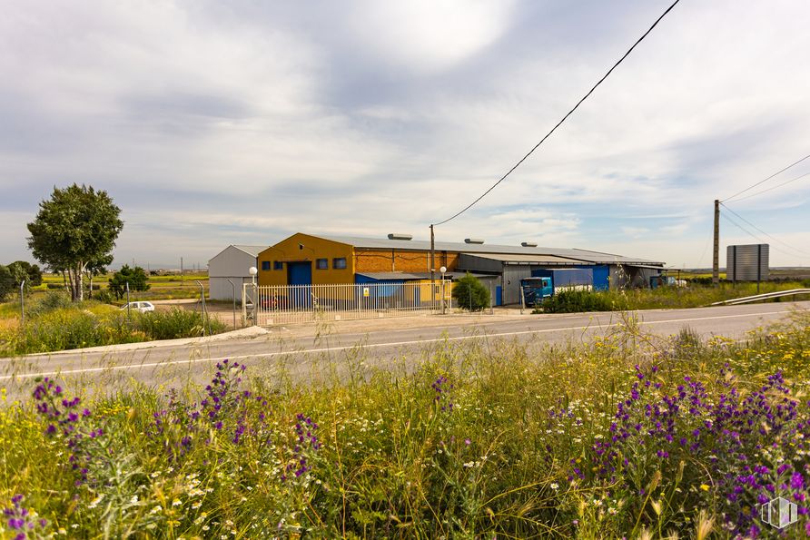 Industrial for rent at Calle Los Sauces, 1, Torrejón de Velasco, Madrid, 28990 with sky, cloud, plant, flower, window, ecoregion, tree, land lot, agriculture and natural landscape around