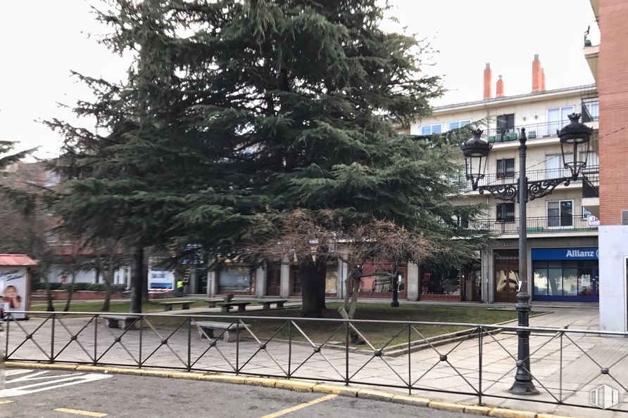 Retail for rent at Plaza Santa Ana, 4, Ávila, 05001 with building, plant, sky, fence, urban design, tree, road surface, window, woody plant and residential area around