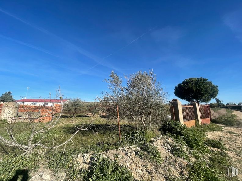 Land for sale at Camino de la Torre, Santa Cruz del Retamar, Toledo, 45513 with sky, plant, plant community, natural landscape, cloud, tree, window, slope, grass and horizon around