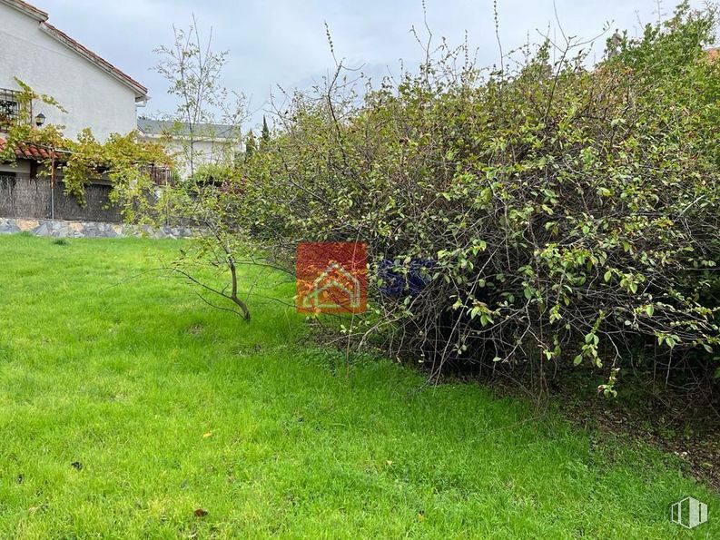 Land for sale at Carretera de Madrid, Miraflores de la Sierra, Madrid, 28792 with house, plant, plant community, cloud, natural landscape, sky, land lot, grass, woody plant and shrub around