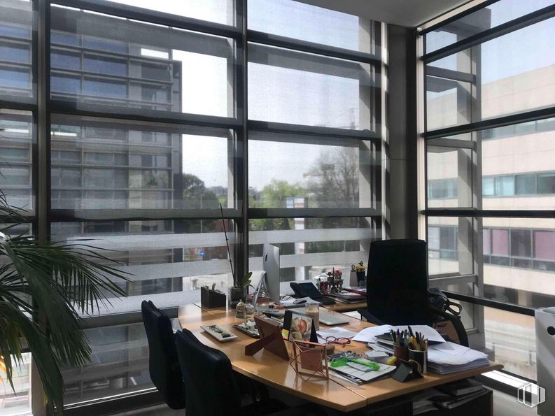 Oficina en venta en Zona empresarial, Alcobendas, Madrid, 28108 con planta de interior, ventana, mesa, mesa, durante el día, mueble, edificio, escritorio del ordenador, accesorio y planta alrededor